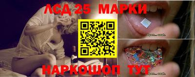 прущие грибы Новодвинск