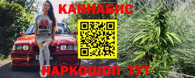 jwh Новозыбков