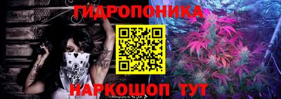 прущие грибы Новодвинск