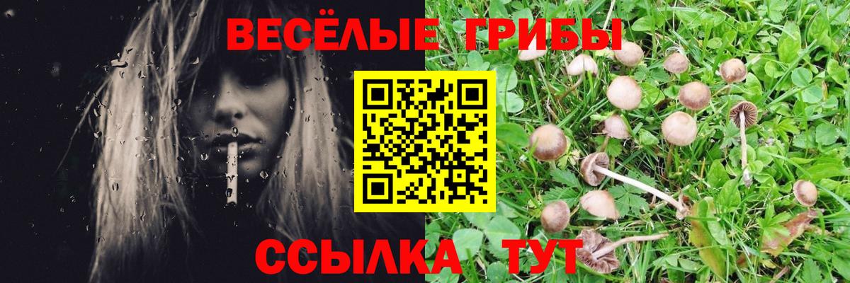 Псилоцибиновые грибы GOLDEN TEACHER Усть-Джегута
